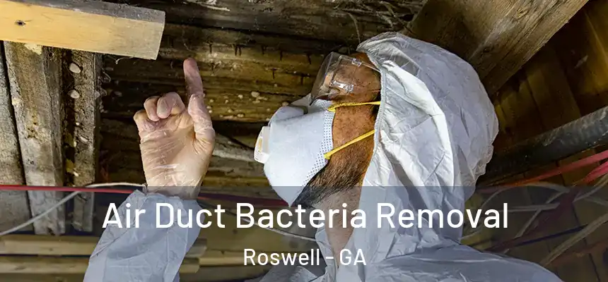 Air Duct Bacteria Removal Roswell - GA