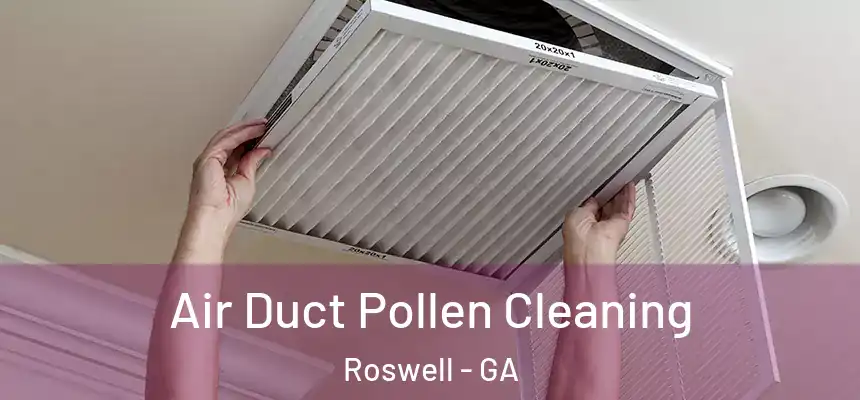 Air Duct Pollen Cleaning Roswell - GA