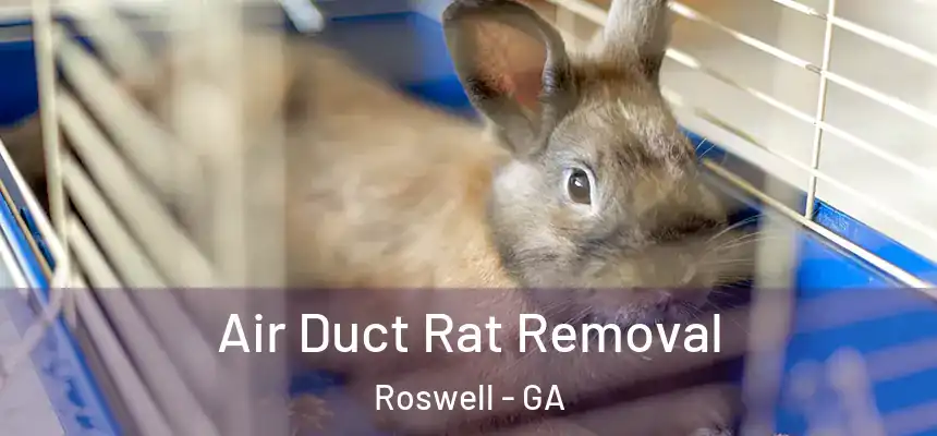 Air Duct Rat Removal Roswell - GA