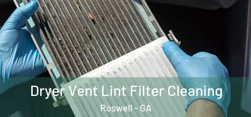 Dryer Vent Lint Filter Cleaning Roswell - GA