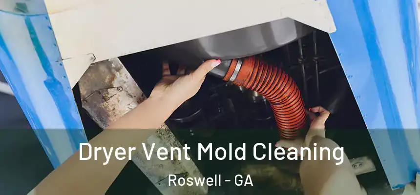 Dryer Vent Mold Cleaning Roswell - GA