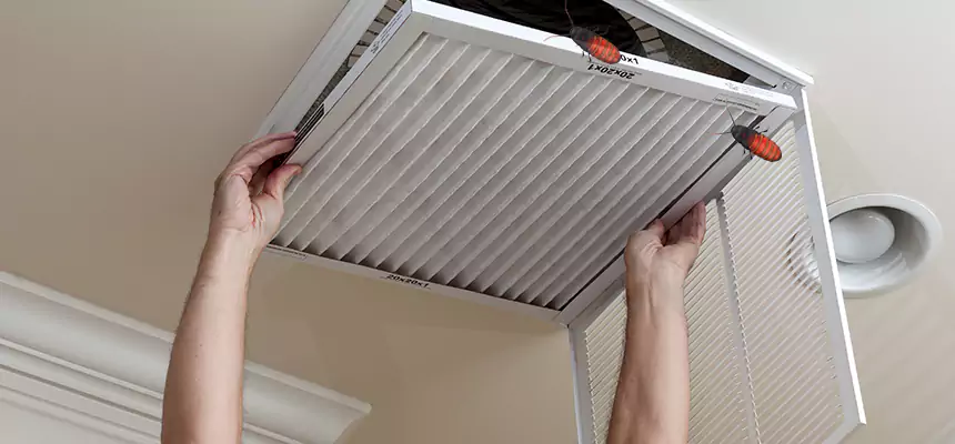 Preventive Cockroach-Proofing for Ducts in Roswell