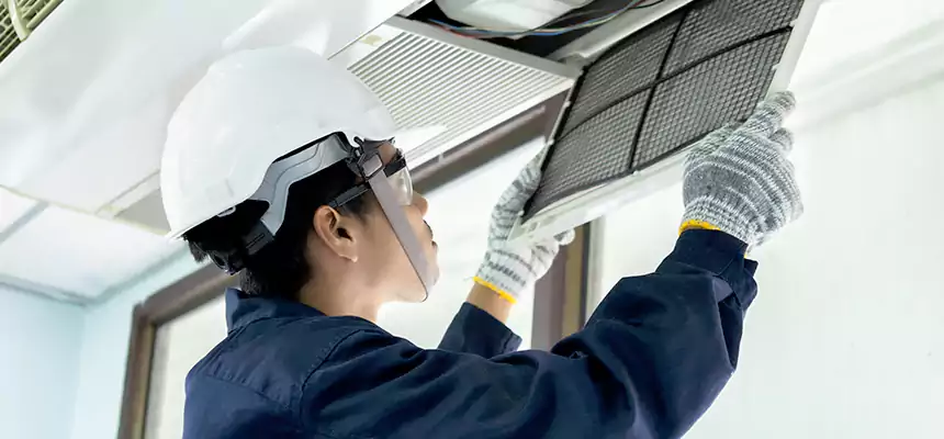 Our Mold & Mildew Removal from Air Ducts Services in Roswell, GA