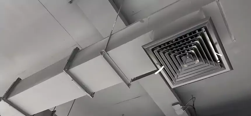 Our Rodent Droppings In Vents Services in Roswell, GA