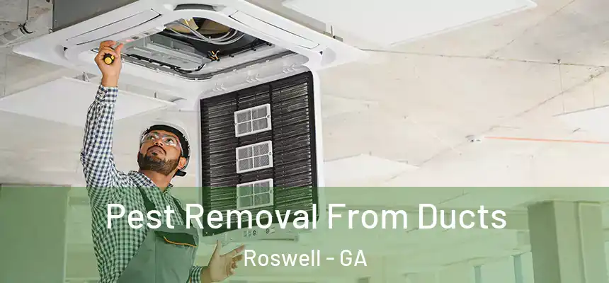 Pest Removal From Ducts Roswell - GA