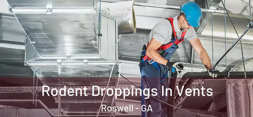 Rodent Droppings In Vents Roswell - GA