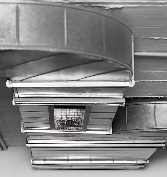 Professional Air Duct Pet Hair Removal in Roswell, GA