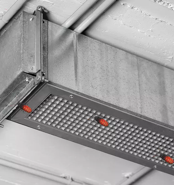 Affordable Insect Removal from Air Ducts in Roswell, GA