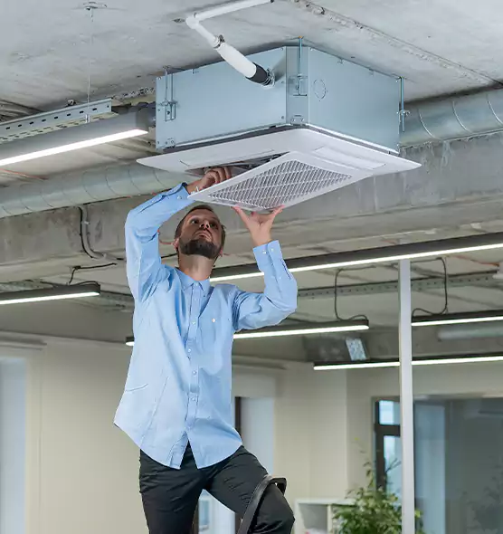 Advanced Rodent Droppings In Vents in Roswell, GA