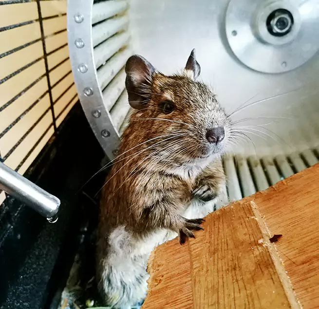 Why Homeowners & Businesses Trust Us Roswell, GA?