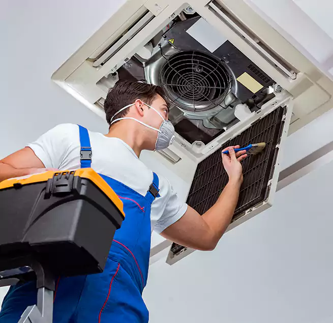 Why Homeowners & Businesses Trust Us in Roswell, GA