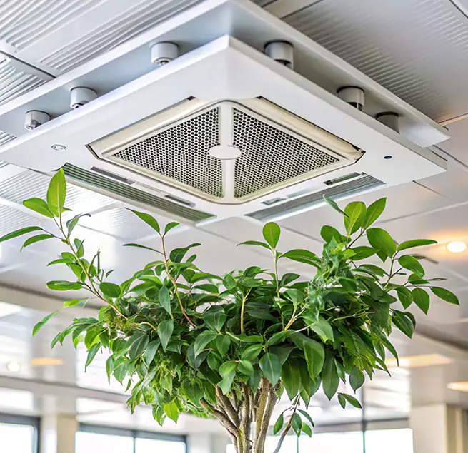 Why Homeowners & Businesses Trust Us in Roswell, GA?