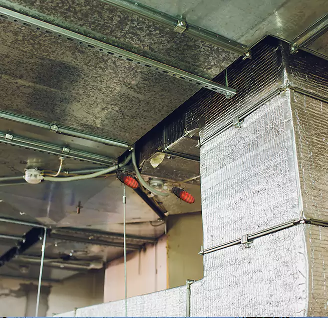 Why Homeowners & Businesses Trust Us Roswell, GA?